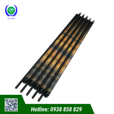 CƠ BIDA LỖ/POOL PHỦ CARBON