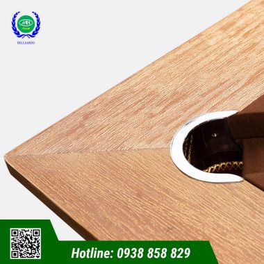 BÀN BIDA LỖ/POOL HAVANA