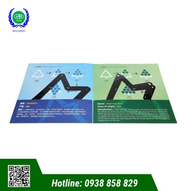 PHIM XẾP BI 9 LỖ