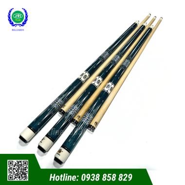 CƠ BIDA LỖ ATHENA