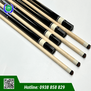 CƠ BIDA LỖ JIAN YING