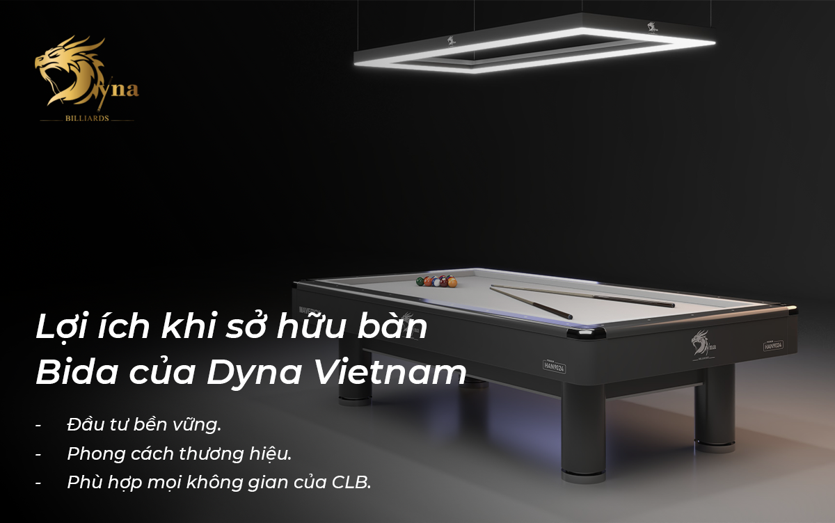 Lợi ích khi sở hữu bàn bida Dyna