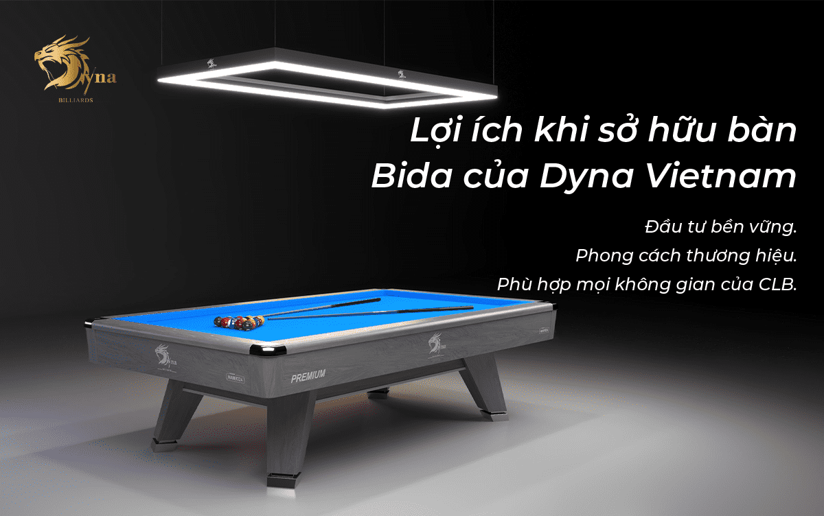Lợi ích khi sở hữu bàn bida Dyna