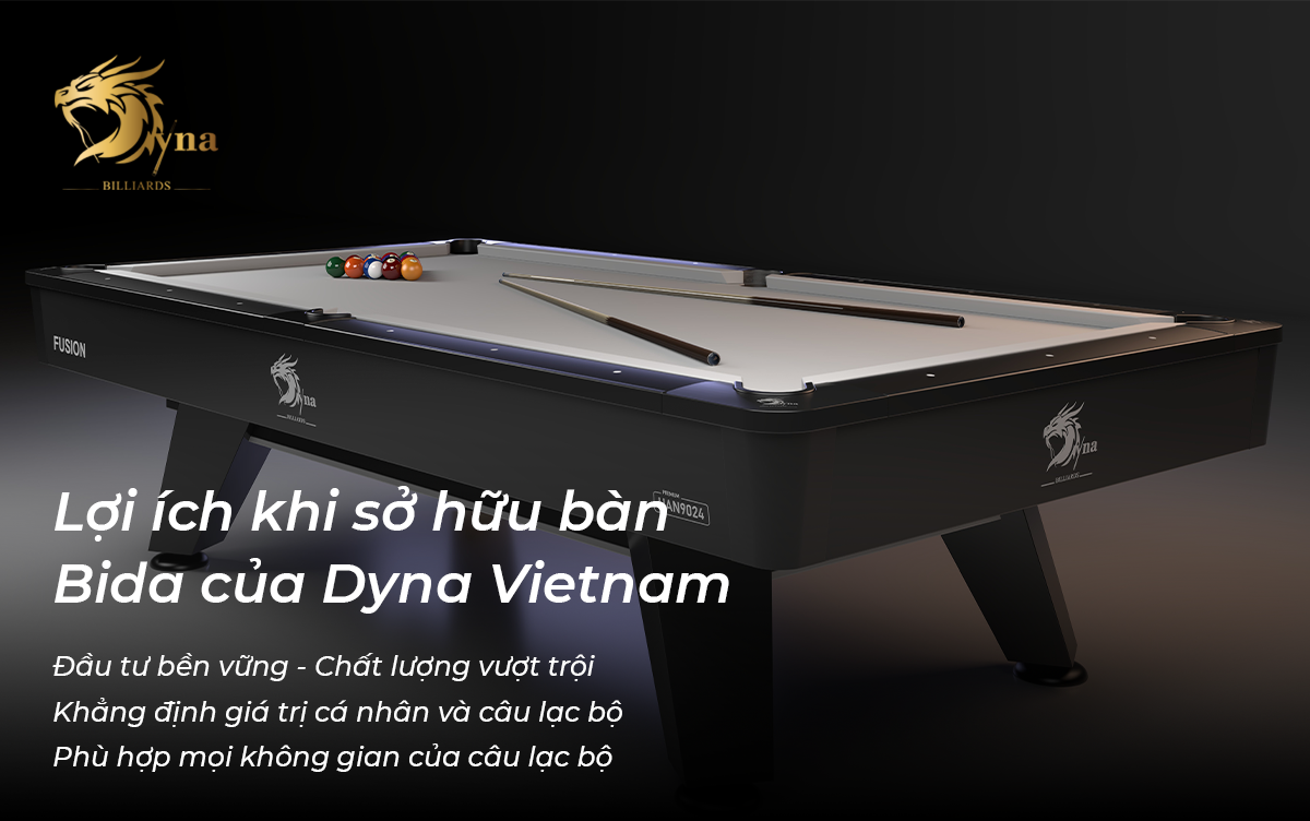 loi ich khi so huu ban bida cua dyna