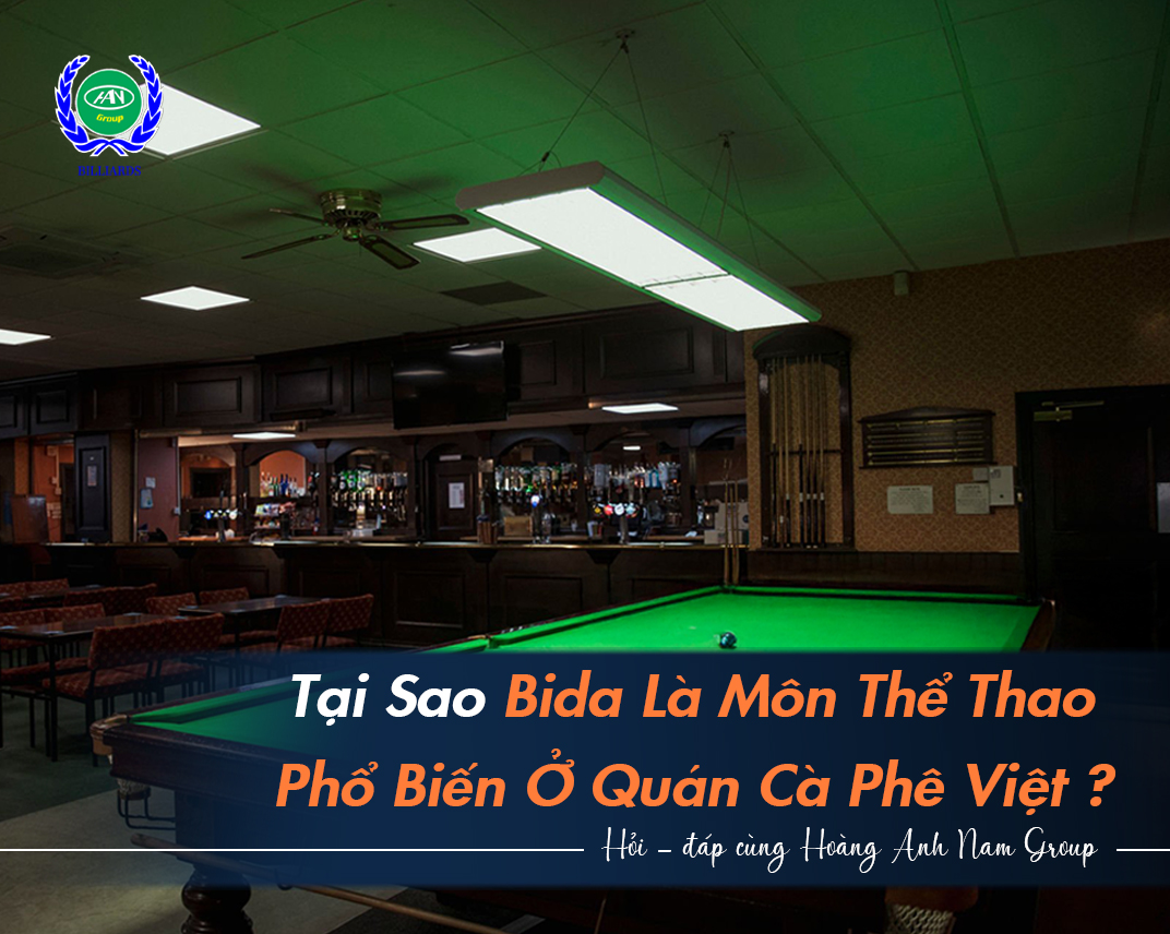 Tại Sao Bida Là Môn Thể Thao Phổ Biến Ở Quán Cà Phê Việt?