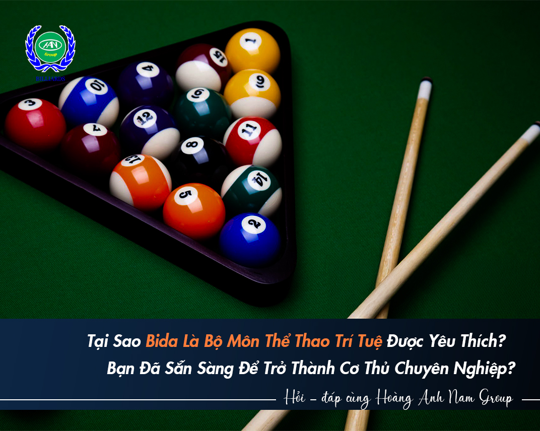 Tại Sao Bida Là Bộ Môn Thể Thao Trí Tuệ Được Yêu Thích?  Bạn Đã Sẵn Sàng Để Trở Thành Cơ Thủ Chuyên Nghiệp?